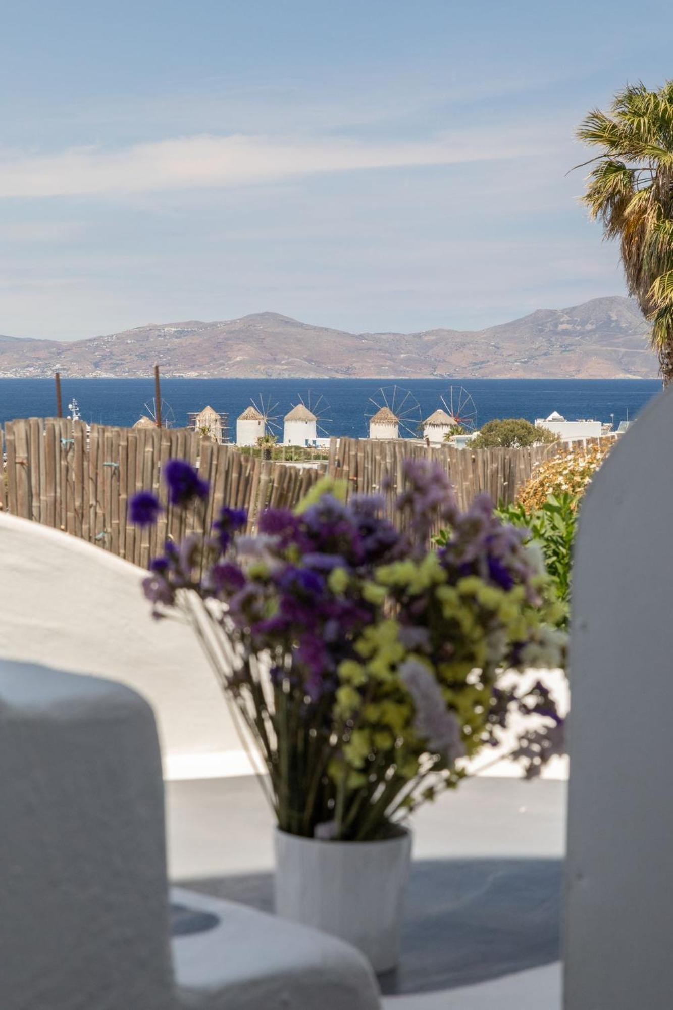 Mykonos Town Dimele 아파트 호텔 외부 사진